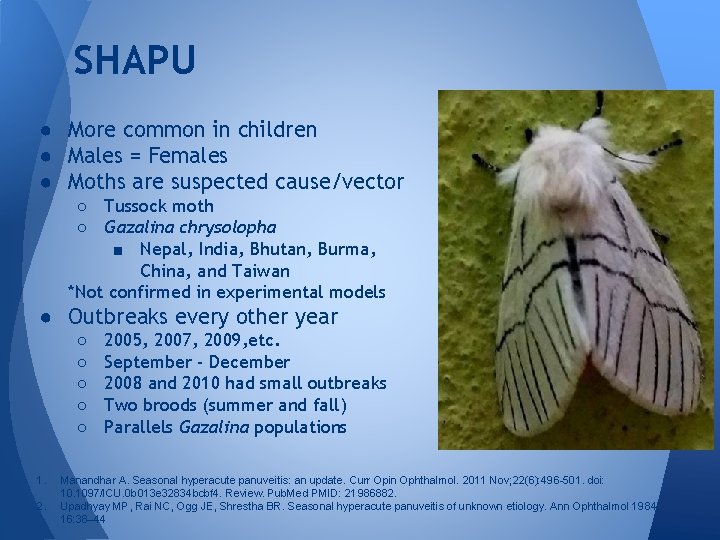 SHAPU ● More common in children ● Males = Females ● Moths are suspected SHAPU ● More common in children ● Males = Females ● Moths are suspected