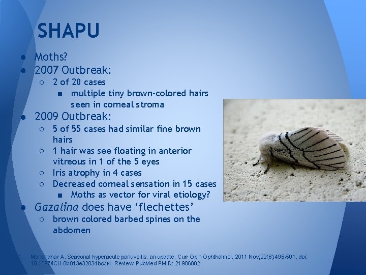 SHAPU ● Moths? ● 2007 Outbreak: ○ 2 of 20 cases ■ multiple tiny SHAPU ● Moths? ● 2007 Outbreak: ○ 2 of 20 cases ■ multiple tiny