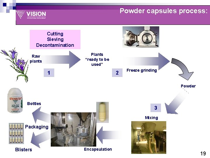Powder capsules process: Cutting Sieving Decontamination Plants “ready to be used” Raw plants 1