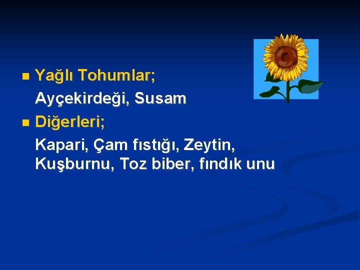 Yağlı Tohumlar; Ayçekirdeği, Susam Diğerleri; Kapari, Çam fıstığı, Zeytin, Kuşburnu, Toz biber, fındık unu