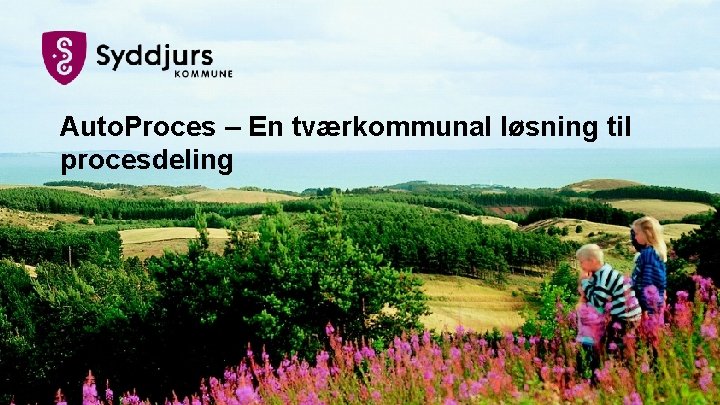 Auto. Proces – En tværkommunal løsning til procesdeling Auto. Proces – En tværkommunal løsning til procesdeling