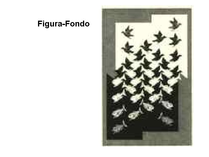 Figura-Fondo 