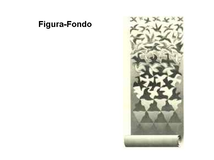 Figura-Fondo 
