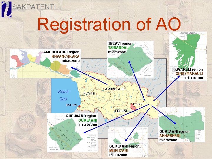 SAKPATENTI Registration of AO TELAVI region TSINANDALI microzone AMBROLAURI region KHVANCHKARA microzone QVARELI region