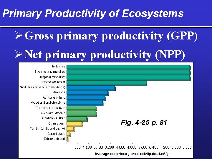 Primary Productivity of Ecosystems Ø Gross primary productivity (GPP) Ø Net primary productivity (NPP)