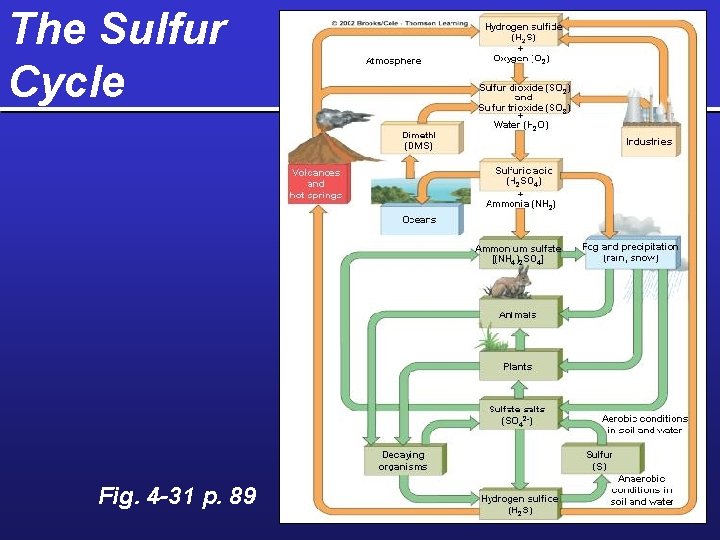The Sulfur Cycle Fig. 4 -31 p. 89 