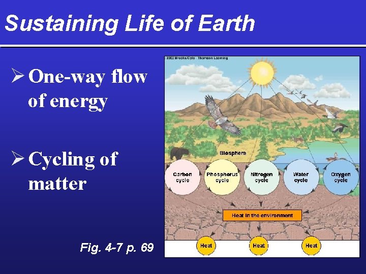 Sustaining Life of Earth Ø One-way flow of energy Ø Cycling of matter Fig.