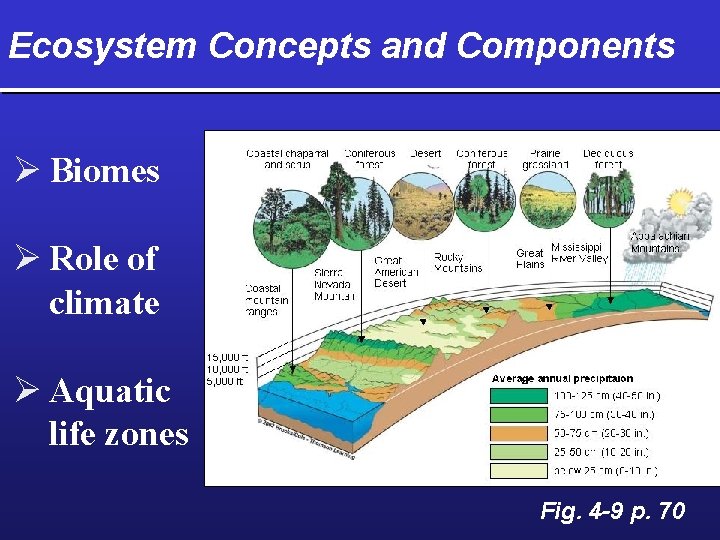 Ecosystem Concepts and Components Ø Biomes Ø Role of climate Ø Aquatic life zones