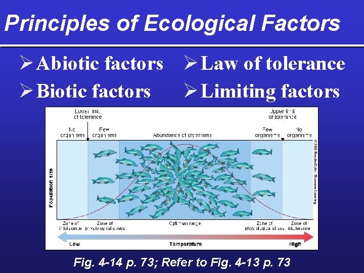 Principles of Ecological Factors Ø Abiotic factors Ø Law of tolerance Ø Limiting factors