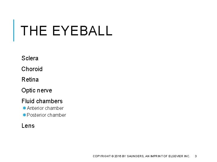 THE EYEBALL Sclera Choroid Retina Optic nerve Fluid chambers Anterior chamber Posterior chamber Lens