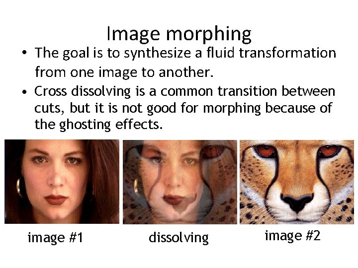 Image morphing • The goal is to synthesize a fluid transformation from one image