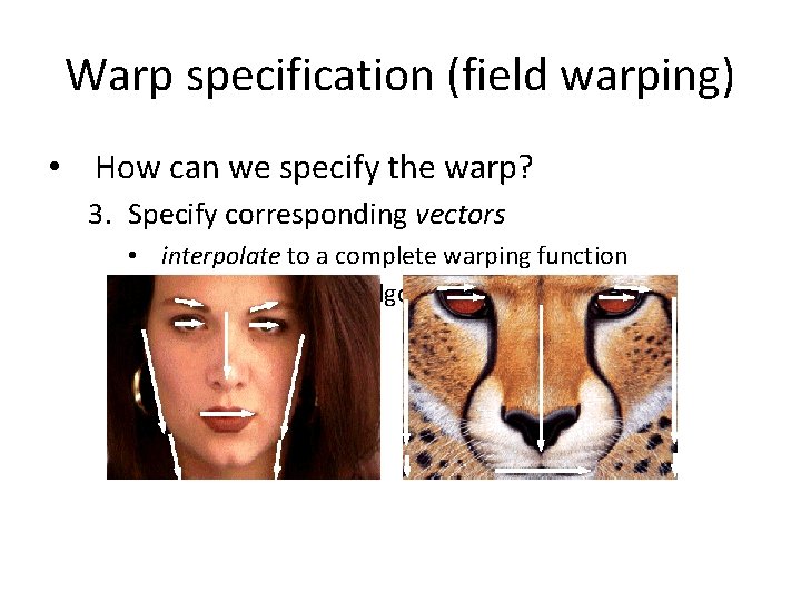 Warp specification (field warping) • How can we specify the warp? 3. Specify corresponding