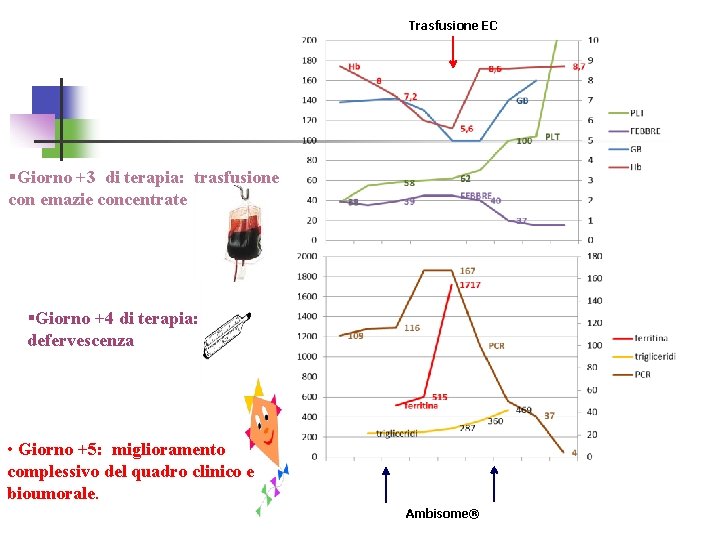 Trasfusione EC §Giorno +3 di terapia: trasfusione con emazie concentrate §Giorno +4 di terapia: