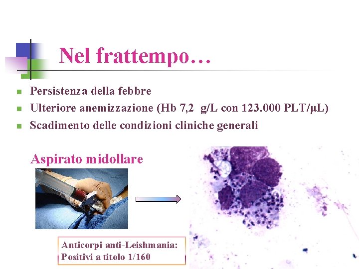 Nel frattempo… n n n Persistenza della febbre Ulteriore anemizzazione (Hb 7, 2 g/L