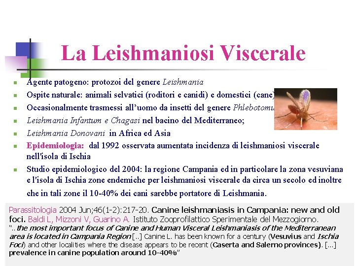 La Leishmaniosi Viscerale n n n n Agente patogeno: protozoi del genere Leishmania Ospite