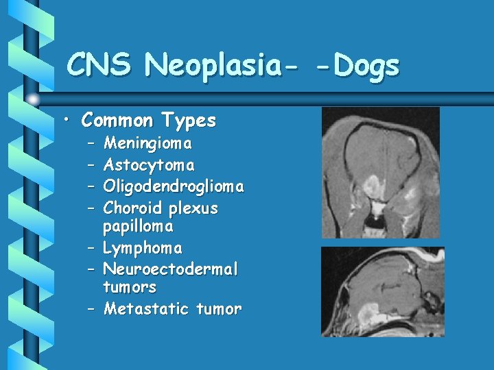 CNS Neoplasia- -Dogs • Common Types – – Meningioma Astocytoma Oligodendroglioma Choroid plexus papilloma