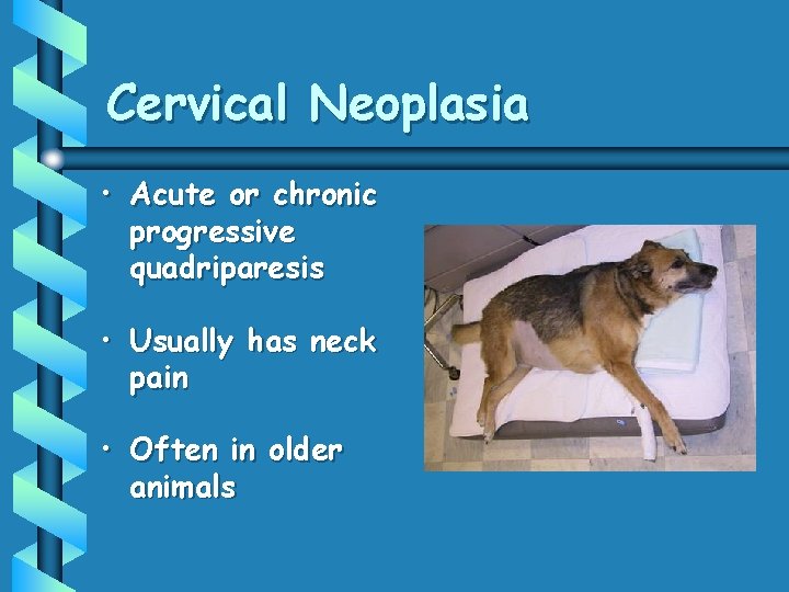 Cervical Neoplasia • Acute or chronic progressive quadriparesis • Usually has neck pain •