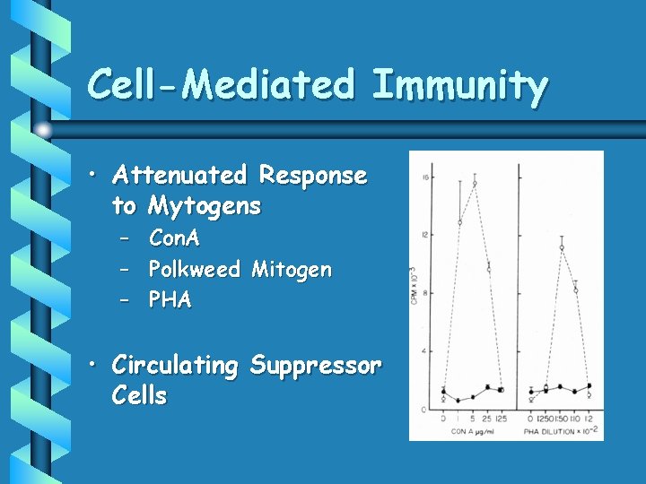 Cell-Mediated Immunity • Attenuated Response to Mytogens – – – Con. A Polkweed Mitogen