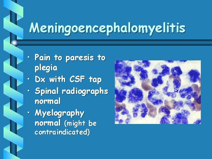 Meningoencephalomyelitis • Pain to paresis to plegia • Dx with CSF tap • Spinal