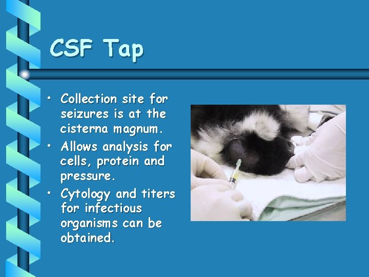 CSF Tap • Collection site for seizures is at the cisterna magnum. • Allows