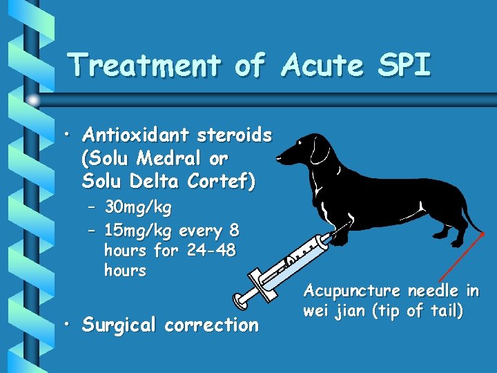 Treatment of Acute SPI • Antioxidant steroids (Solu Medral or Solu Delta Cortef) –