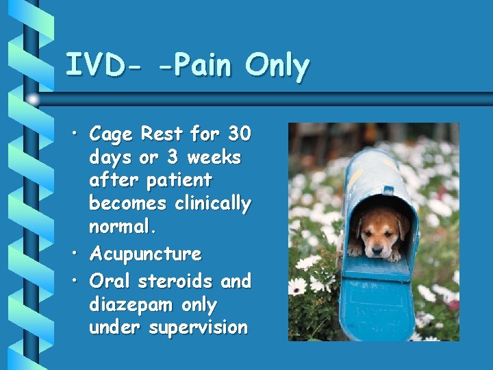 IVD- -Pain Only • Cage Rest for 30 days or 3 weeks after patient