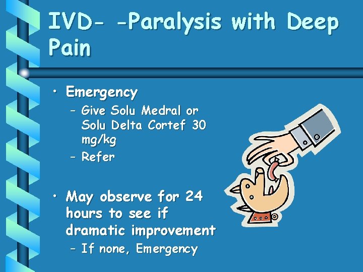 IVD- -Paralysis with Deep Pain • Emergency – Give Solu Medral or Solu Delta