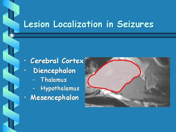 Lesion Localization in Seizures • Cerebral Cortex • Diencephalon – Thalamus – Hypothalamus •