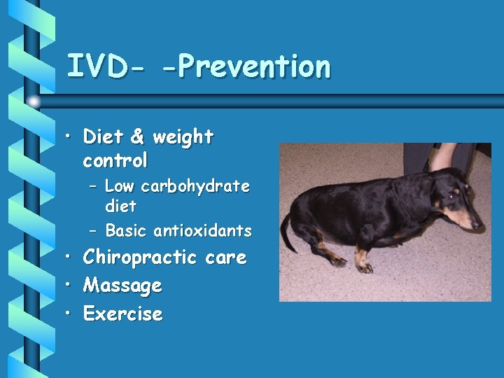 IVD- -Prevention • Diet & weight control – Low carbohydrate diet – Basic antioxidants