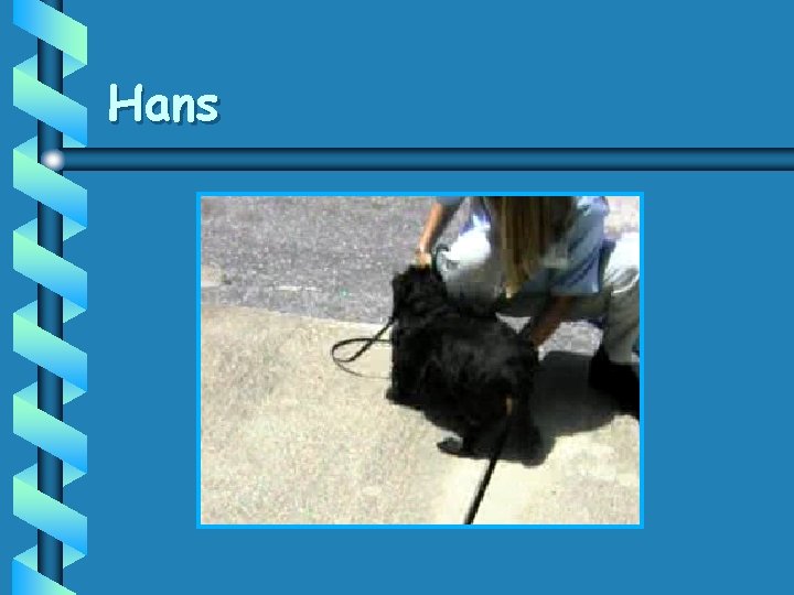 Hans 