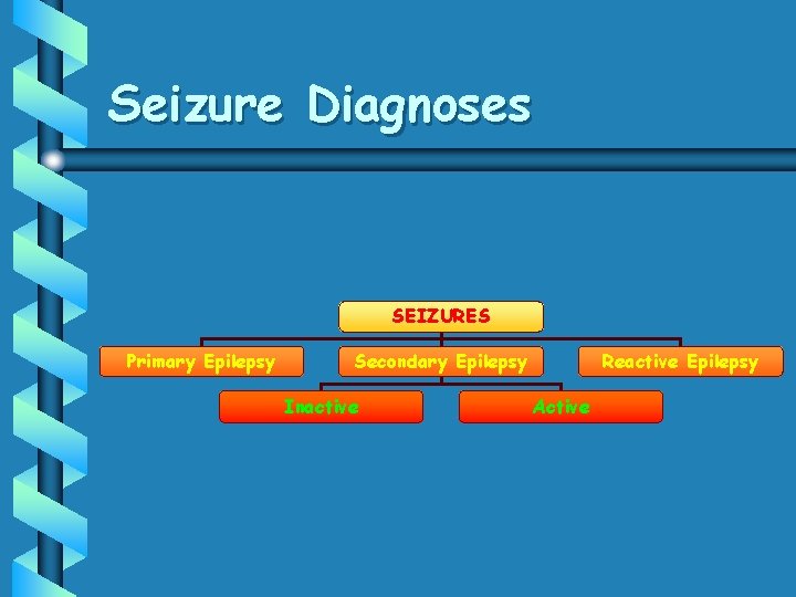 Seizure Diagnoses SEIZURES Primary Epilepsy Secondary Epilepsy Inactive Reactive Epilepsy Active 