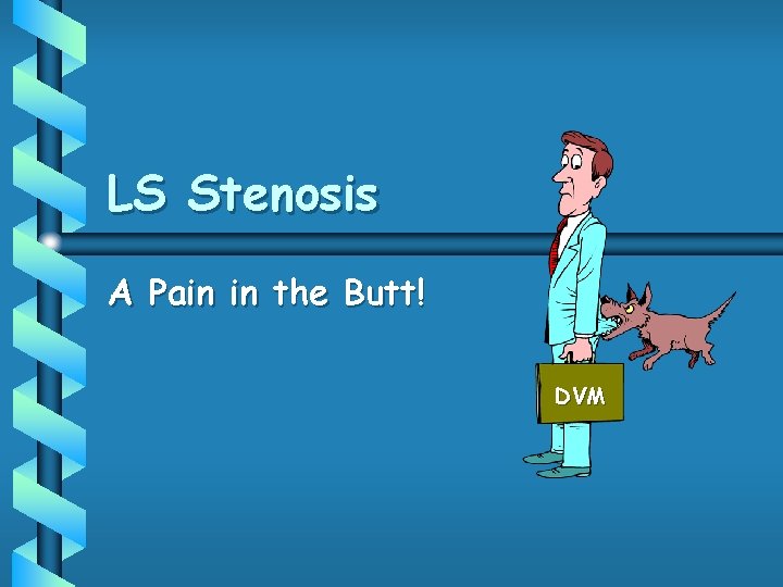 LS Stenosis A Pain in the Butt! DVM 