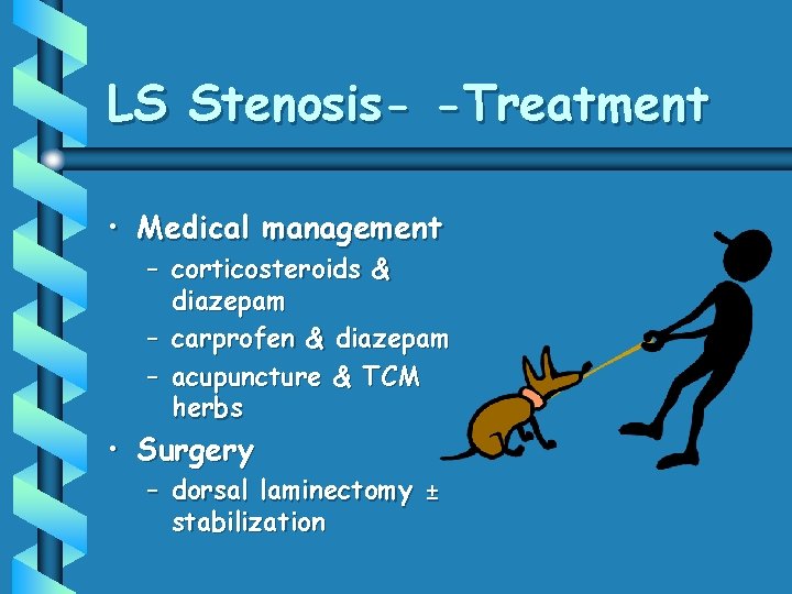 LS Stenosis- -Treatment • Medical management – corticosteroids & diazepam – carprofen & diazepam