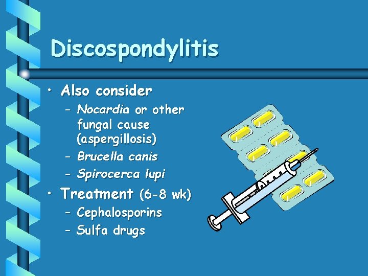 Discospondylitis • Also consider – Nocardia or other fungal cause (aspergillosis) – Brucella canis