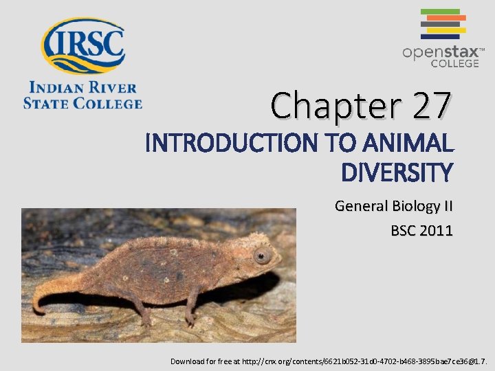 Chapter 27 INTRODUCTION TO ANIMAL DIVERSITY General Biology II BSC 2011 Download for free