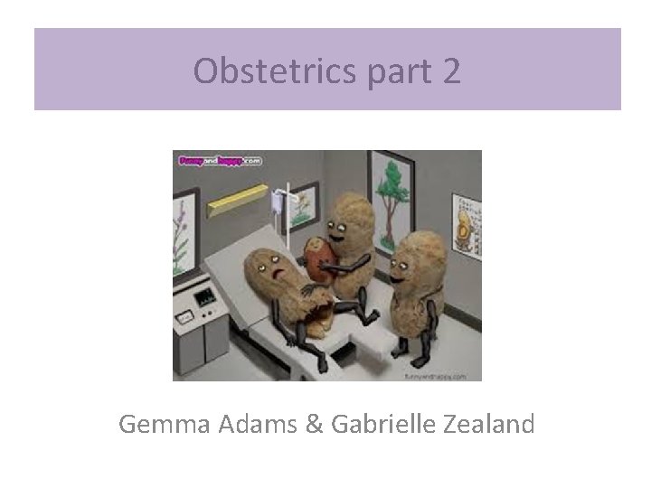 Obstetrics part 2 Gemma Adams & Gabrielle Zealand 