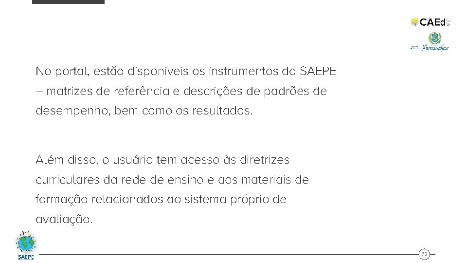 No portal, estão disponíveis os instrumentos do SAEPE – matrizes de referência e descrições