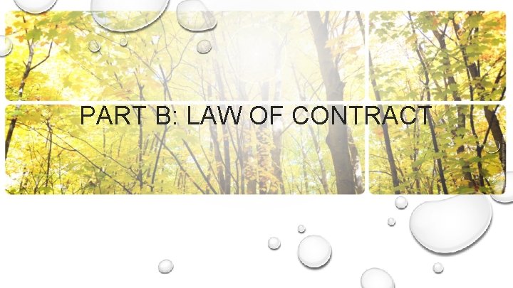 PART B: LAW OF CONTRACT 