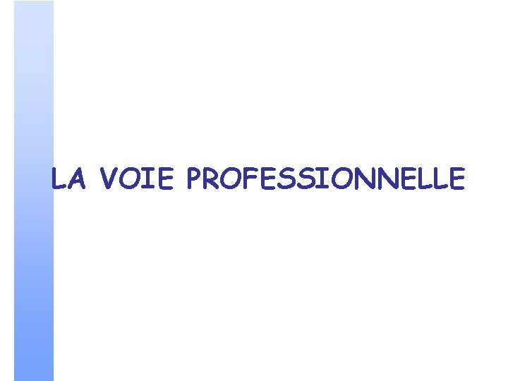 LA VOIE PROFESSIONNELLE 