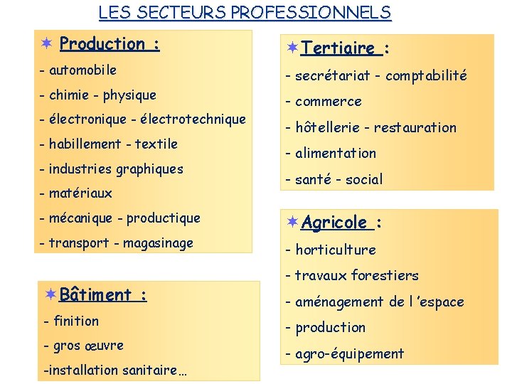 LES SECTEURS PROFESSIONNELS Production : Tertiaire : - automobile - secrétariat - comptabilité -