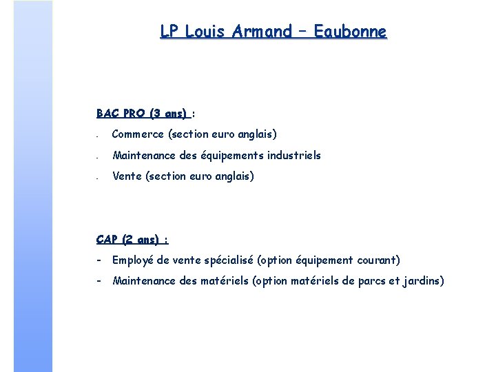 LP Louis Armand – Eaubonne BAC PRO (3 ans) : - Commerce (section euro