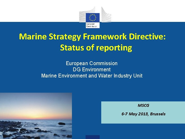 Marine Strategy Framework Directive: Status of reporting European Commission DG Environment Marine Environment and