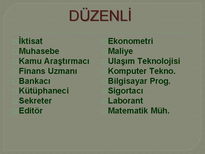 DÜZENLİ � İktisat � Ekonometri � Muhasebe � Maliye � Kamu � Ulaşım Araştırmacı