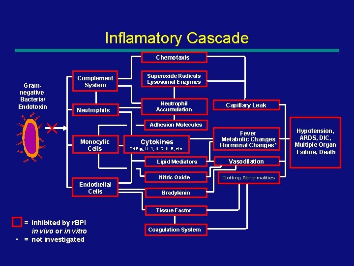 Inflamatory Cascade Chemotaxis Gramnegative Bacteria/ Endotoxin Complement System Neutrophils Superoxide Radicals Lysosomal Enzymes Neutrophil