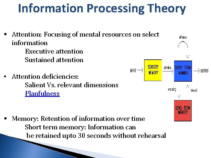Information Processing Theory § Attention: Focusing of mental resources on select information Executive attention