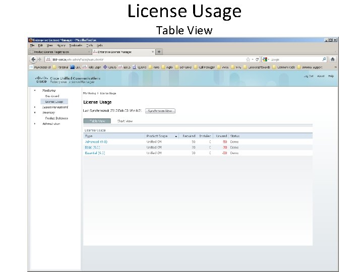 License Usage Table View 