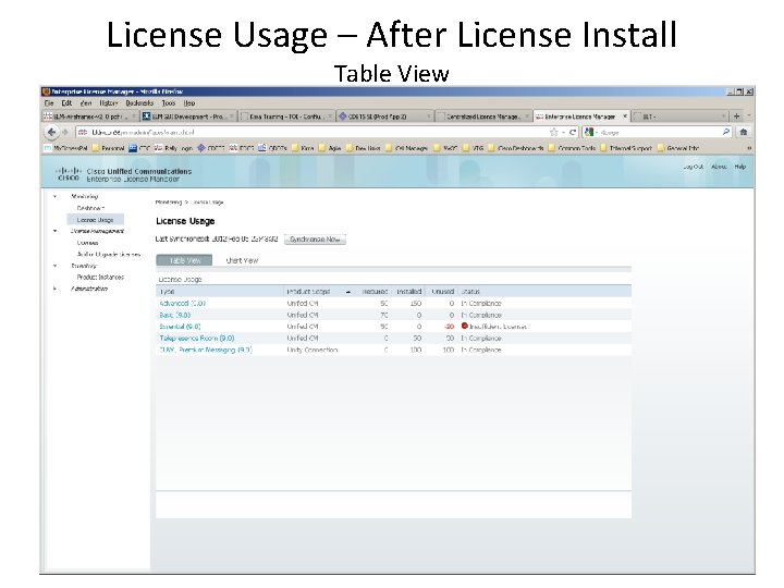 License Usage – After License Install Table View 