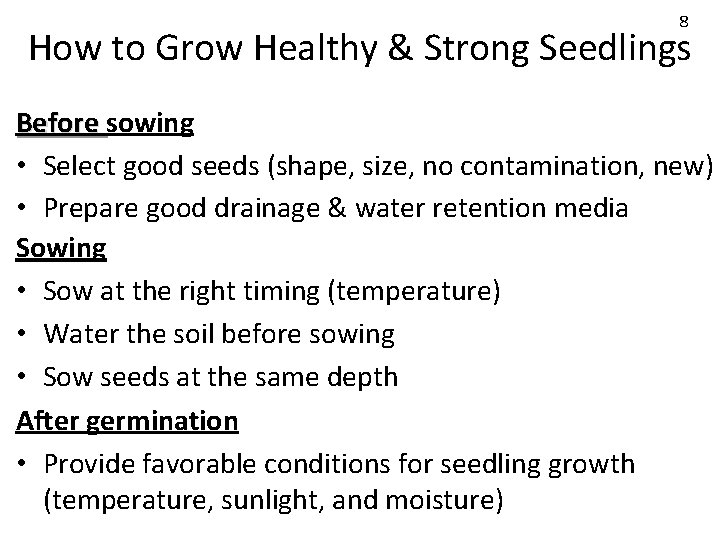 8 How to Grow Healthy & Strong Seedlings Before sowing • Select good seeds