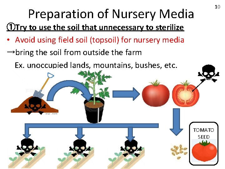 Preparation of Nursery Media ①Try to use the soil that unnecessary to sterilize •