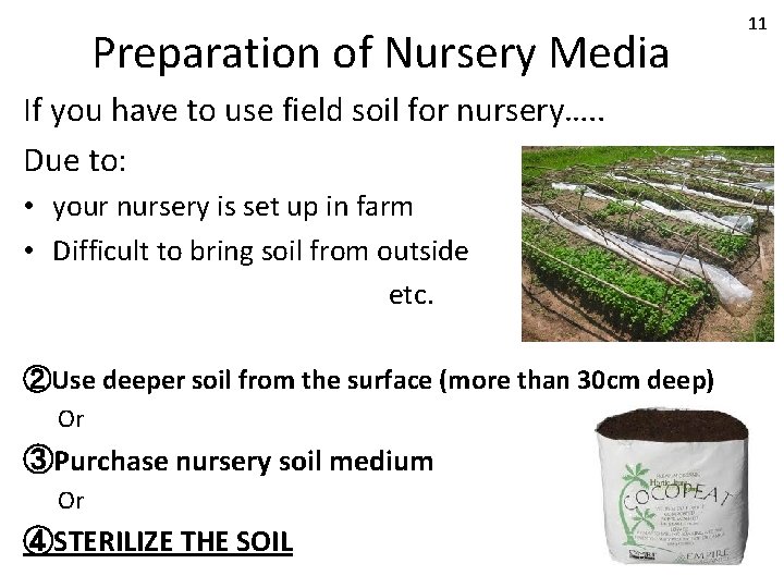 Preparation of Nursery Media If you have to use field soil for nursery…. .